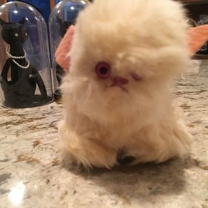 Meet your Posher, Sandee